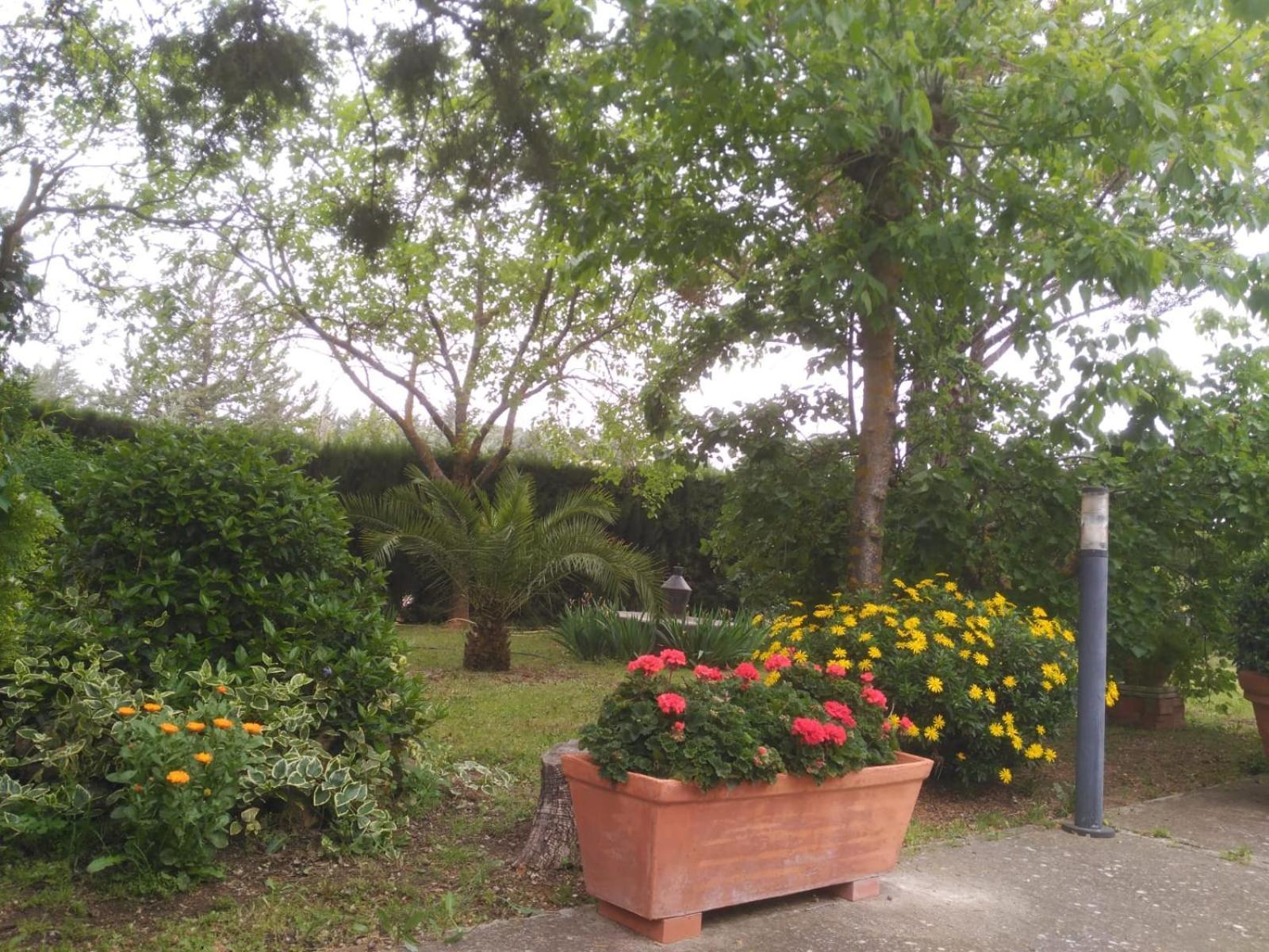 Vivienda Turistica Rural Mari Carmen Villa Baeza Eksteriør billede